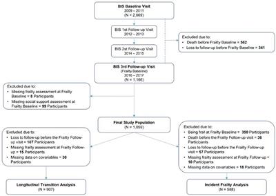 Social support and frailty progression in community-dwelling older adults